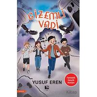 Gizemli Vadi - Yusuf Eren - Çınaraltı Yayınları