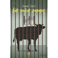 Bir Sağır Zangoç - Soner Sert - İthaki Yayınları