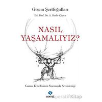 Nasıl Yaşamalıyız? - Gizem Şerifoğulları - Sentez Yayınları