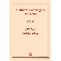 Ardımda Bıraktığım Yıllarım Cilt 9 - Gökdal Okay - Luna Yayınları