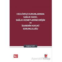 Ceza İnfaz Kurumlarında Sağlık Hakkı, Sağlık Hizmetlerine Erişim ve İdarenin Hukuki Sorumluluğu