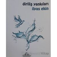 Diriliş Yankıları - İlyas Ekin - Cağaloğlu Yayınevi