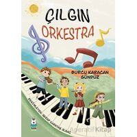 Çılgın Orkestra - Burcu Karacan Gündüz - Luna Çocuk Yayınları