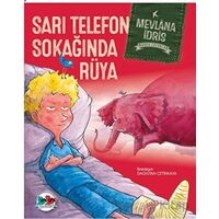 Sarı Telefon Sokağında Rüya - Mevlana İdris - Vak Vak Yayınları