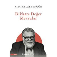Dikkate Değer Mevzular - A. M. Celal Şengör - İnkılap Kitabevi