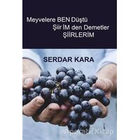 Meyvelere Ben Düştü Şiirimden Demetler - Serdar Kara - İkinci Adam Yayınları
