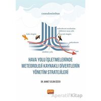 Hava Yolu İşletmelerinde Meteoroloji Kaynaklı Divertlerin Yönetim Stratejileri
