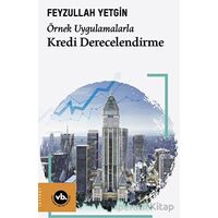 Örnek Uygulamalarla Kredi Derecelendirme - Feyzullah Yetgin - Vakıfbank Kültür Yayınları