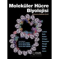 Moleküler Hücre Biyoloji - Kolektif - Palme Yayıncılık