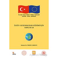 Üstün Yetenekliler Eğitimi İçin Toplum 5.0 - Melike Bahar Tike Tetik - Kriter Yayınları