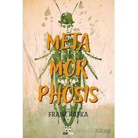 Metamorphosis - Franz Kafka - İnsan Kitap