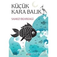 Küçük Kara Balık - Samed Behrengi - Pogo Çocuk