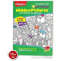 Uzmanlar için Hidden Pictures - Su Eğlencesi Puzzle (Tek Kitap)