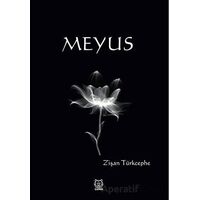 Meyus - Zişan Türkcephe - Luna Yayınları