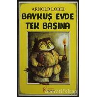 Baykuş Evde Tek Başına - Arnold Lobel - Kelime Yayınları