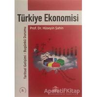 Türkiye Ekonomisi (Hüseyin Şahin) - Hüseyin Şahin - Ezgi Kitabevi Yayınları