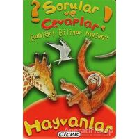 Sorular ve Cevaplar - Hayvanlar - Kolektif - Çiçek Yayıncılık