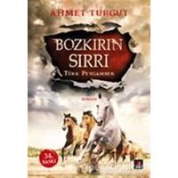 Bozkırın Sırrı : Türk Peygamber - Ahmet Turgut - Kapı Yayınları