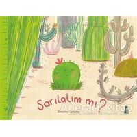 Sarılalım mı? - Simona Ciraolo - Taze Kitap