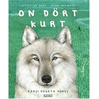 On Dört Kurt - Catherine Barr - Ketebe Çocuk