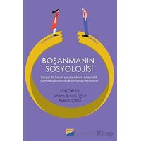 Boşanmanın Sosyolojisi: Sosyal Bir Sorun ya da Aileye Alternatif Olma Bağlamında Boşanmayı Anlamak