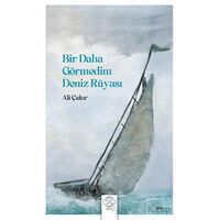 Bir Daha Görmedim Deniz Rüyası - Ali Çakır - Post Yayınevi