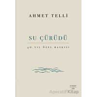 Su Çürüdü - Ahmet Telli - Everest Yayınları