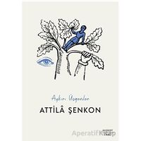 Aykırı Üçgenler - Attila Şenkon - Everest Yayınları