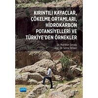 Kırıntılı Kayaçlar, Çökelme Ortamları, Hidrokarbon Potansiyelleri ve Türkiye’den Örnekler