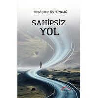 Sahipsiz Yol - Birol Çetin Üstündağ - Kırmızı Çatı Yayınları