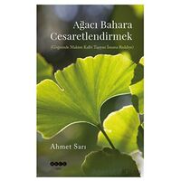 Ağacı Bahara Cesaretlendirmek - Ahmet Sarı - Hece Yayınları