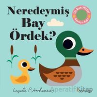 Neredeymiş Bay Ördek? - Kolektif - Domingo Yayınevi