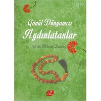 Gönül Dünyamızı Aydınlatanlar - Mehmet Demirci - Vefa Yayınları