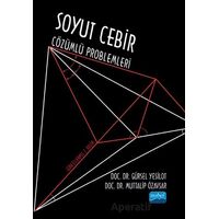 Soyut Cebir Çözümlü Problemleri - Muttalip Özavşar - Nobel Akademik Yayıncılık