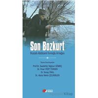 Son Bozkurt - Saadettin Yağmur Gömeç - Berikan Yayınevi