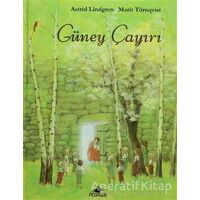 Güney Çayırı - Astrid Lindgren - Pegasus Çocuk Yayınları