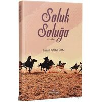 Soluk Soluğa - İsmail Göktürk - Erguvan Yayınevi