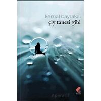 Çiy Tanesi Gibi - Kemal Bayrakçı - Klaros Yayınları