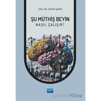 Şu Müthiş Beyin - Nasıl Çalışır? - Zafer Şahin - Nobel Akademik Yayıncılık