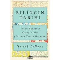Bilincin Tarihi: İnsan Beyninin Gelişiminin 4 Milyar Yıllık Hikayesi