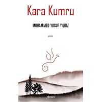 Kara Kumru - Muhammed Yusuf Yıldız - Armoni Yayıncılık