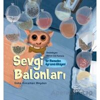 Sevgi Balonları - Esma Kocaman Meydan - Mecaz Çocuk