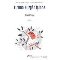 Fırtına Rüzgar İçinde - Halil Yeni - Armoni Yayıncılık