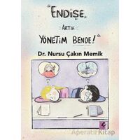 Endişe, Artık Yönetim Bende! - Nursu Çakın Memik - Efil Yayınevi