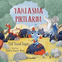 Yaklaşma Pırtlarım - Elif Yonat Toğay - Uçanbalık Yayıncılık
