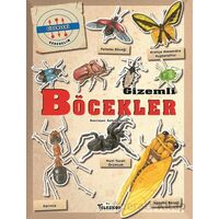 Gizemleri Öğrenelim - Gizemli Böcekler - Kathryn Senior - Teleskop Popüler Bilim
