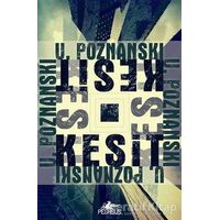 Kesit - Ursula Poznanski - Pegasus Yayınları