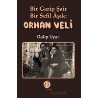 Bir Garip Şair - Bir Sefil Aşık Orhan Veli - Galip Uyar - Herdem Kitap