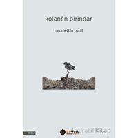 Kolanen Birindar - Necmettin Tural - Aryen Yayınları