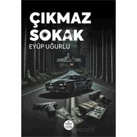 Çıkmaz Sokak - Eyüp Uğurlu - Elpis Yayınları